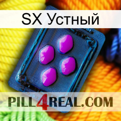 SX Устный 04